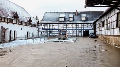 cav-201903-reitschultest-saga-mit-TEASER-brandt-1-v-amendo (jpg)