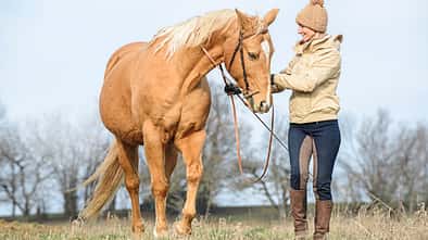 cav-201903-clickertraining-aufmacher-lir3612-mit-TEASER-v-amendo (jpg)