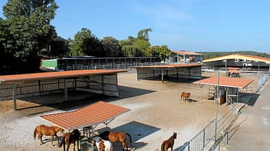 CAV Stall Scout 03_2014 Aktivstall Heinrichshof 2