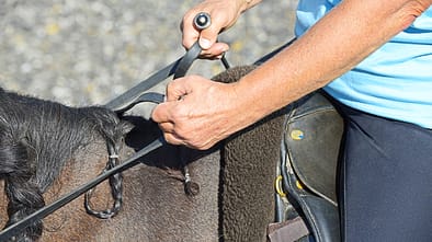 cav-201811-konterlektionen-2-reiten-in-aussenstellung-haende-lir3175-v-amendo (jpg)
