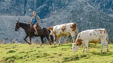 cav-201810-cowboy-lir9800--mit-TEASER-v-amendo (jpg)