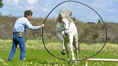 CAV Spielen mit dem Pferd Ring 3