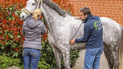 cav-kolik-diagnose-img-1204-fellner-v-amendo (jpg)