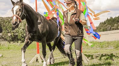 CAV Horse Agility alte Pferde Teaser