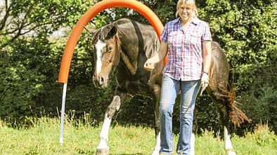 CAV Pferde-Agility  Aufmacher Artikel