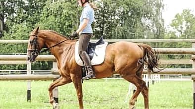 CAV Reittraining Tempo B