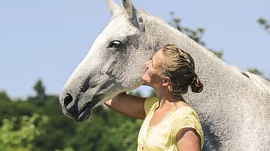 CAV Alte Pferde Teaser