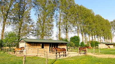 CAV Stall Scout Hahnenhof in Pulheim 3