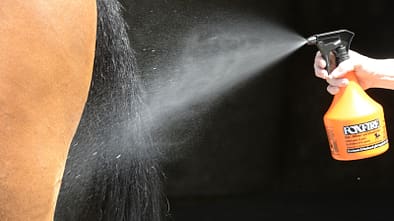 CAV  Fellspray Mähnenspray Schweifspray Pflege Test 5