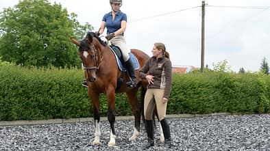 CAV Übergänge richtig reiten Dressur 3
