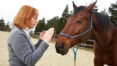 CAV Reiki Christa Mahlmeister 1