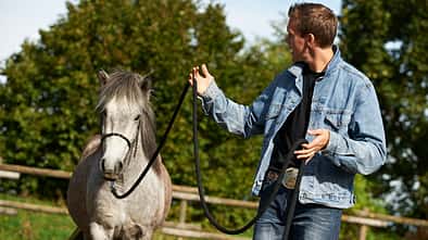 CAV Stimmung Horsemanship Florian Oberparleiter 1