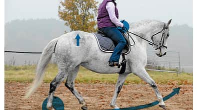 CAV Hinterhand Dressur Tragkraft 7