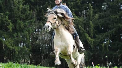 CAV-TREC-Reiten-10 (jpg)