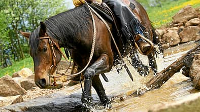 CAV-Extreme-Trail-Park-Aufmacher
