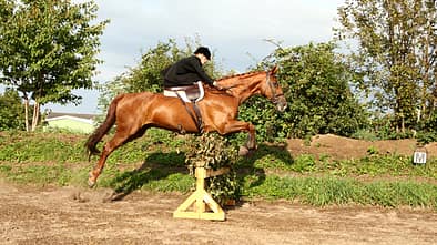 CAV 0210 Damensattel reiten 10