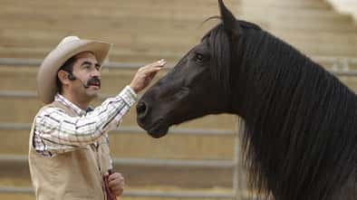 CAV 08_2010 Kurs Alfonso Aguilar_0368 (jpg)