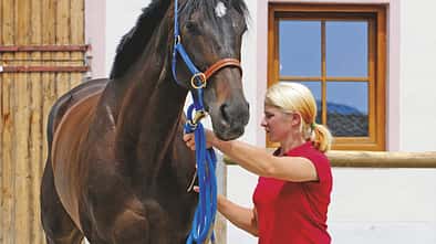 CAV 1109 Basics Anhalten _08 (jpg)