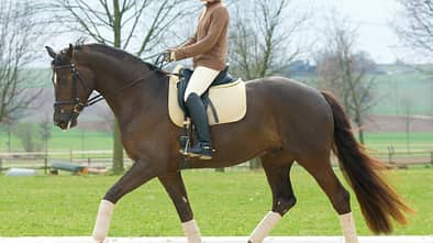 CAV 0508 Schwung - Reiten Beispiel 2.3