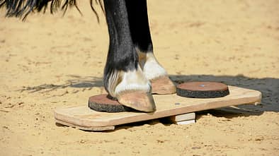 CAV Zweibein Wippe selbst machen