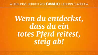 CAV Reitersprüche 28