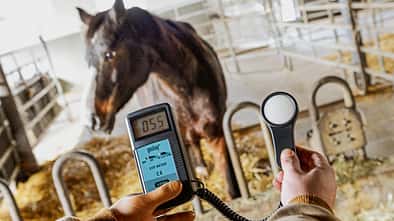 cav-201903-helligkeit-im-stall-1-lir1720-mit-TEASER-v-amendo (jpg)