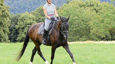 CAV Pferde Wiese reiten Biegung Trab