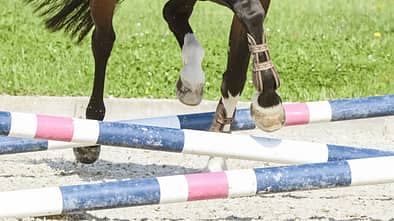 CAV Stangenarbeit Aufmacher