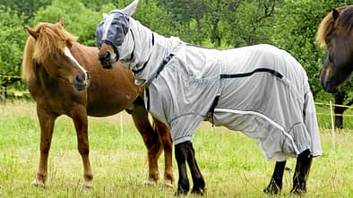 CAV_0811_Service_Ekzemdecke (jpg)