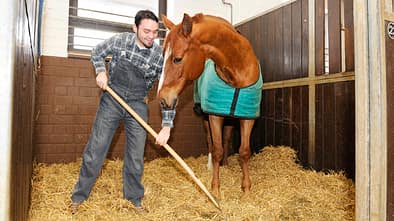 CAV Rechtserie Stallarbeit