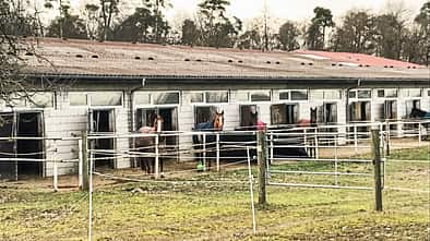 cav-201904-reitschultest-rheinzabern-stall-img3064-mit-TEASER-v-amendo (jpg)