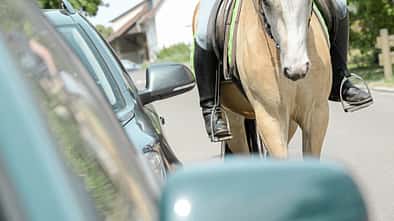 CAV Pferdehaftpflicht