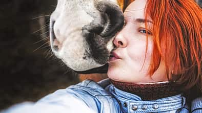 CAV Pferd Reiterin Knutsch Kuss schmusen