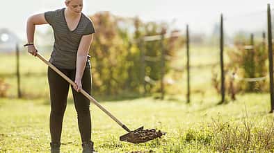 cav-201811-misten-1500-misten-weide-20180911-cavallo-tp-sattler-0029-tom-hartig-slash-TOMsPIC-v-amendo (jpg)