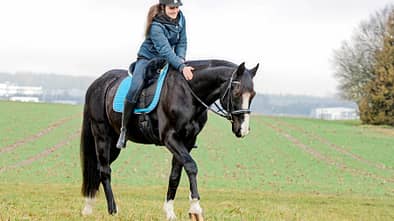 cav-0418-erstaunliche-heilung-stoppi-lir6970-mit-teaser (jpg)