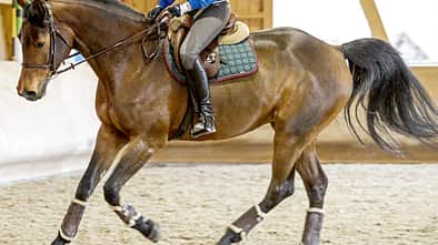 CAV Wohlfühltraining Aufmacher 2