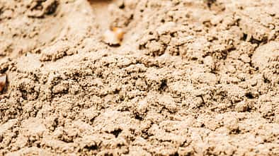 CAV Sand Reitplatz 1