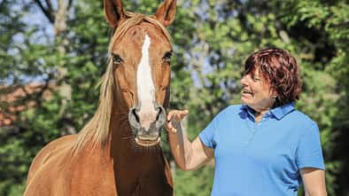 CAV Kommunikation Wie sag ich's meinem Pferd Aufmacher