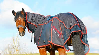 cav-magnetfeld-decken-aufmacher-lir0647 (jpg)