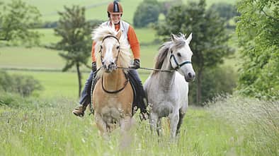 CAV 0410 Frage des Monats_Ebert