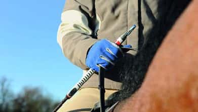 CAV Gerten Test CAVALLO