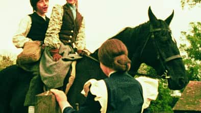 CAV Filmpferde Black Beauty Artikel