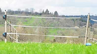 CAV Zaun Weide Koppel Stromgerät