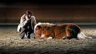 CAV Kolik Pony Liegen