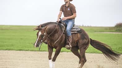 CAV Spin Hinterhanddrehung Westernreiten