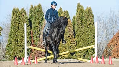 cav-spruenge-in-reitbahn-022017-lir2646-und-teaser-v-amendo (jpg)