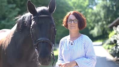 CAV MSD Video Husten Teaserbilder