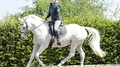 CAV Reiterin im Galopp auf Dressurplatz Reitbeteiligung