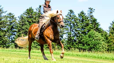 cav-201808-fit-mit-power-pause-lir4168-TEASER-v-amendo (jpg)