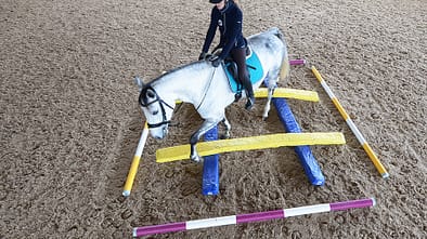 cav-0518-kreatives-stangentraining-lir3743-mit-teaser (jpg)